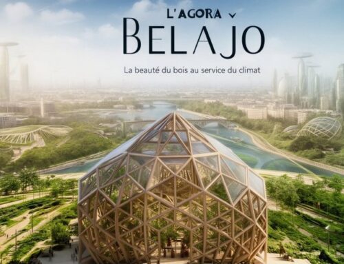 Schönheit in Holz im Dienst des Klimas